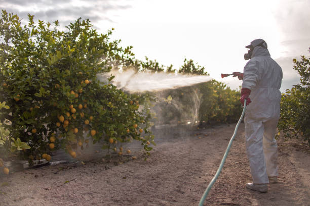 Best Affordable Pest Control Services  in Charlotte, TN