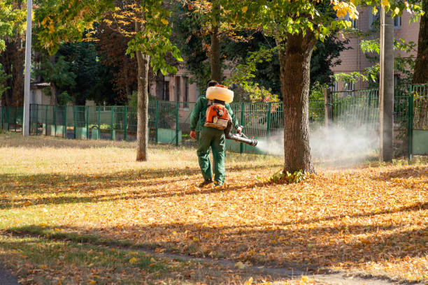 Bird Control in Charlotte, TN