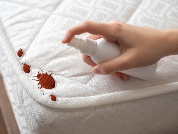 Professional Pest Control in Charlotte, TN