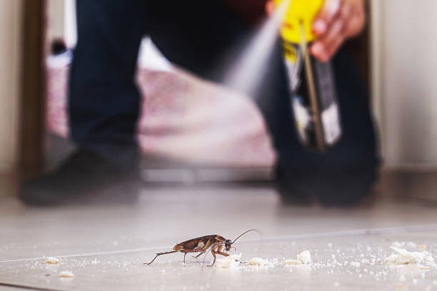 Best Pest Removal Services  in Charlotte, TN