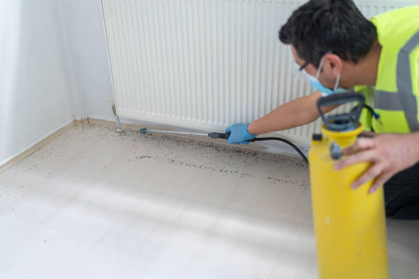 Best Affordable Pest Control Services  in Charlotte, TN