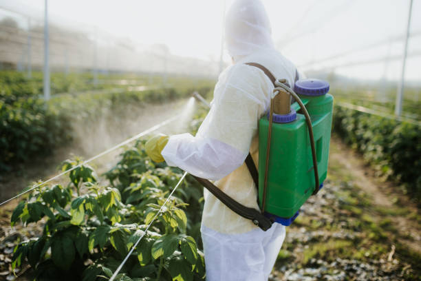 Best Mosquito Control Services  in Charlotte, TN
